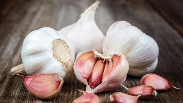 Contre les maladies l’ail est un bouclier actif