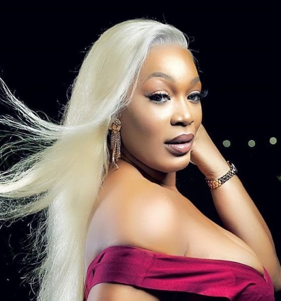 La Renaissance de Josey illumine l&rsquo;Afrique