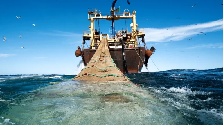 Sénégal : Vers une pêche plus souveraine