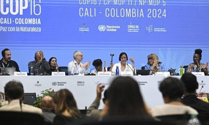 Biodiversité: L’Afrique au bord du Gouffre